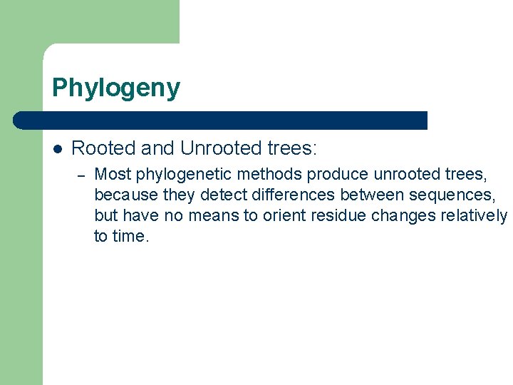 Phylogeny l Rooted and Unrooted trees: – Most phylogenetic methods produce unrooted trees, because