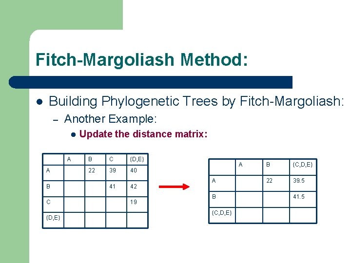 Fitch-Margoliash Method: l Building Phylogenetic Trees by Fitch-Margoliash: – Another Example: l A A