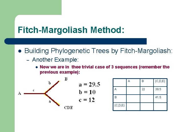 Fitch-Margoliash Method: l Building Phylogenetic Trees by Fitch-Margoliash: – Another Example: l Now we