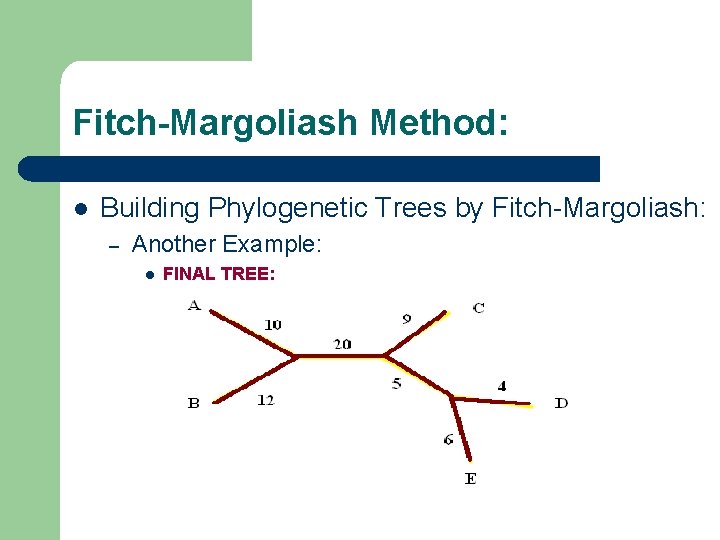 Fitch-Margoliash Method: l Building Phylogenetic Trees by Fitch-Margoliash: – Another Example: l FINAL TREE: