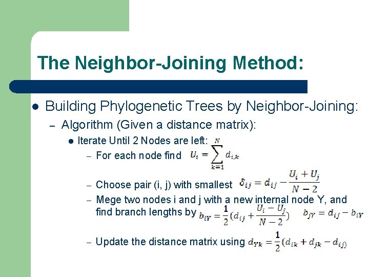 The Neighbor-Joining Method: l Building Phylogenetic Trees by Neighbor-Joining: – Algorithm (Given a distance