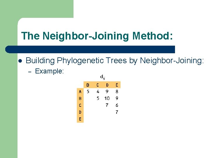The Neighbor-Joining Method: l Building Phylogenetic Trees by Neighbor-Joining: – Example: 