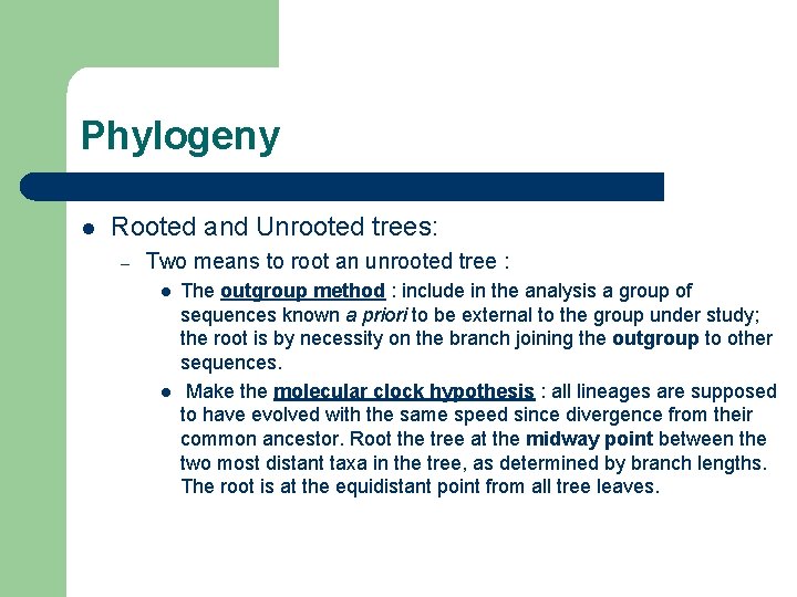 Phylogeny l Rooted and Unrooted trees: – Two means to root an unrooted tree