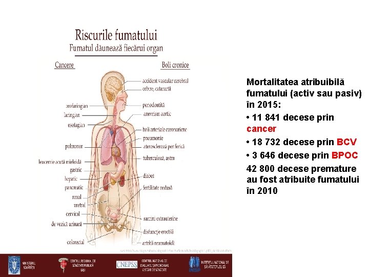 Mortalitatea atribuibilă fumatului (activ sau pasiv) în 2015: • 11 841 decese prin cancer