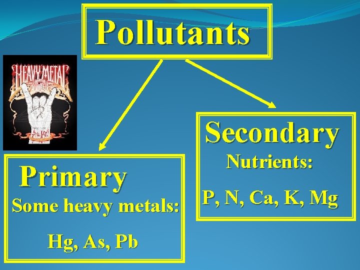 Pollutants Secondary Primary Some heavy metals: Hg, As, Pb Nutrients: P, N, Ca, K,