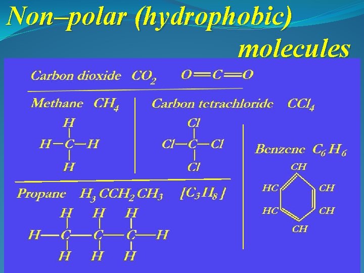 Non–polar (hydrophobic) molecules 