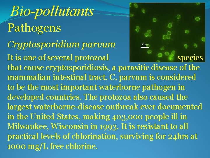 Bio-pollutants Pathogens Cryptosporidium parvum It is one of several protozoal species that cause cryptosporidiosis,