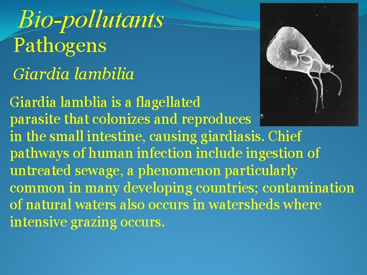 Bio-pollutants Pathogens Giardia lambilia Giardia lamblia is a flagellated protozoan parasite that colonizes and