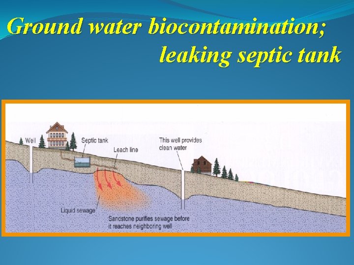 Ground water biocontamination; leaking septic tank 