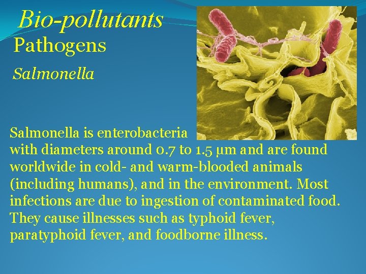 Bio-pollutants Pathogens Salmonella is enterobacteria with diameters around 0. 7 to 1. 5 µm