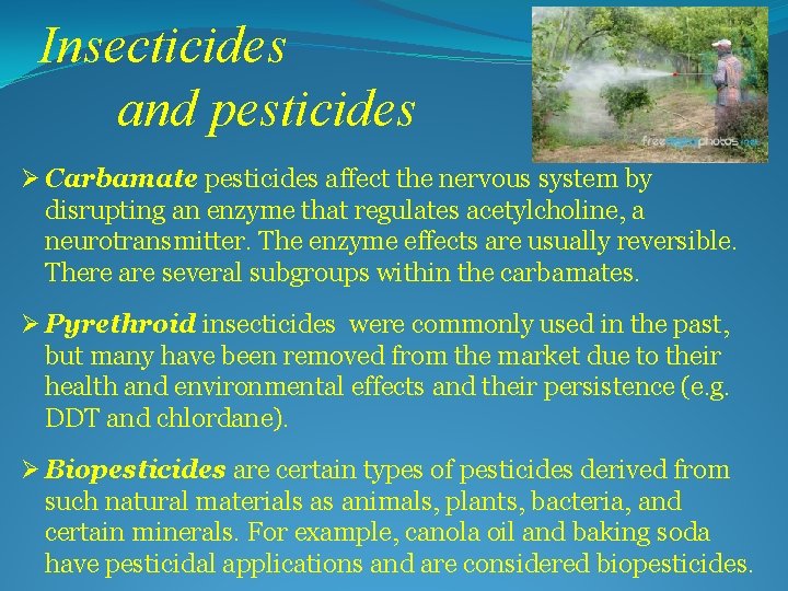 Insecticides and pesticides Ø Carbamate pesticides affect the nervous system by disrupting an enzyme