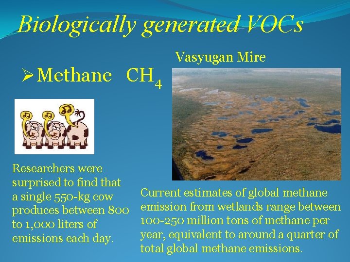 Biologically generated VOCs ØMethane CH 4 Researchers were surprised to find that a single