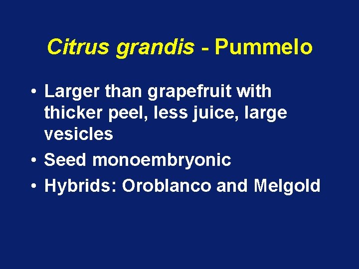 Citrus grandis - Pummelo • Larger than grapefruit with thicker peel, less juice, large
