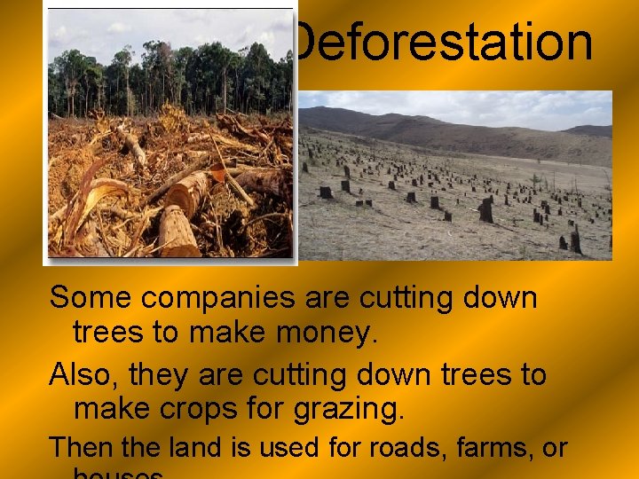 Deforestation Some companies are cutting down trees to make money. Also, they are cutting