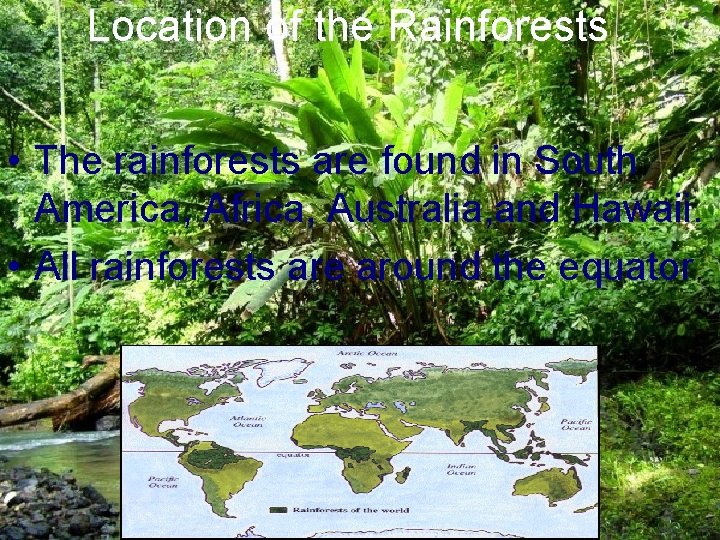 Location of the Rainforests • The rainforests are found in South America, Africa, Australia,