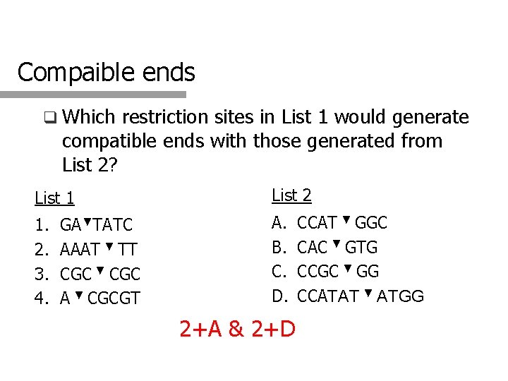 Compaible ends q Which restriction sites in List 1 would generate compatible ends with