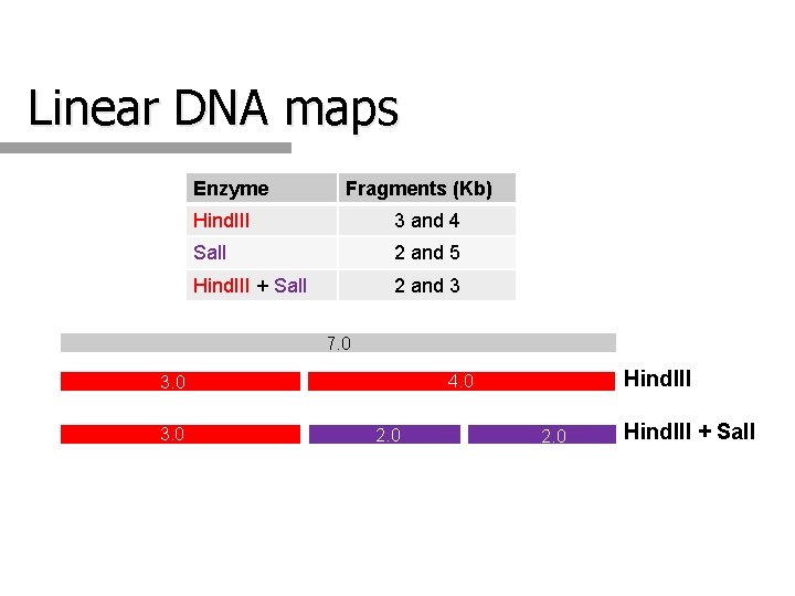 Linear DNA maps Enzyme Fragments (Kb) Hind. III 3 and 4 Sal. I 2