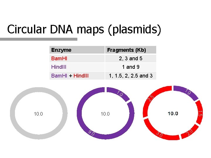 Circular DNA maps (plasmids) Enzyme Fragments (Kb) Bam. HI 2, 3 and 5 Hind.