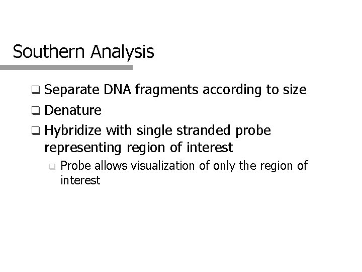 Southern Analysis q Separate DNA fragments according to size q Denature q Hybridize with