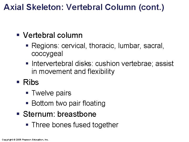 Axial Skeleton: Vertebral Column (cont. ) § Vertebral column § Regions: cervical, thoracic, lumbar,