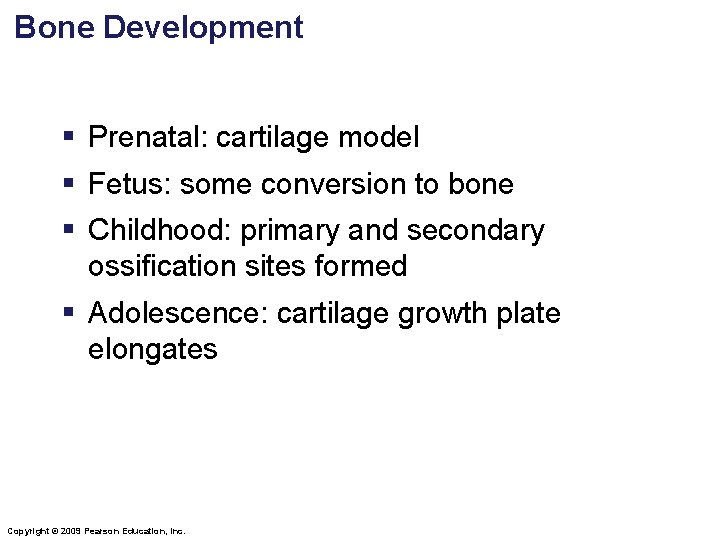 Bone Development § Prenatal: cartilage model § Fetus: some conversion to bone § Childhood: