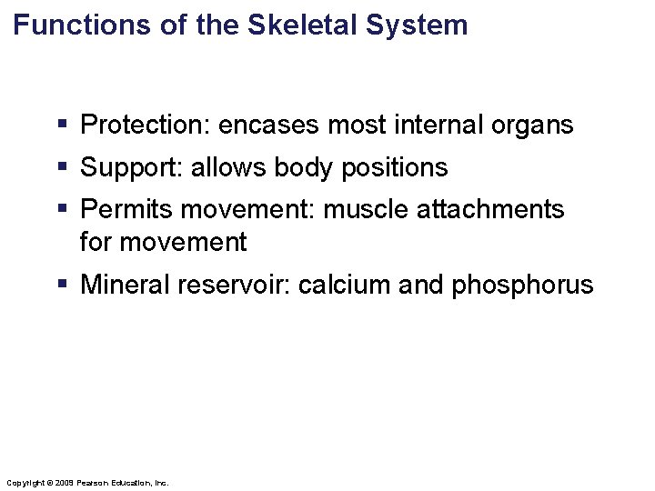 Functions of the Skeletal System § Protection: encases most internal organs § Support: allows