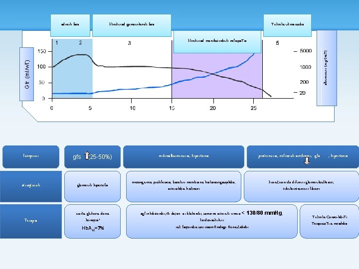 adreuli faza klinikurad gamouvleneli faza Tirkmlis ukmarisoba Gfr (ml/w. T) albuminuri (mg/24 s. T)