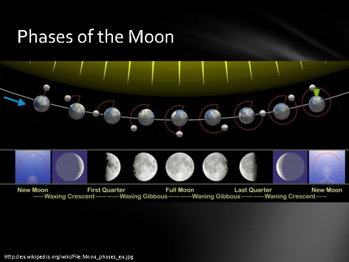 Phases of the Moon http: //en. wikipedia. org/wiki/File: Moon_phases_en. jpg 