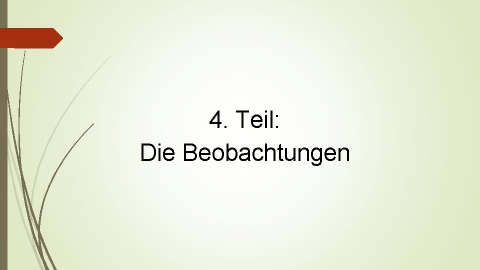 4. Teil: Die Beobachtungen 