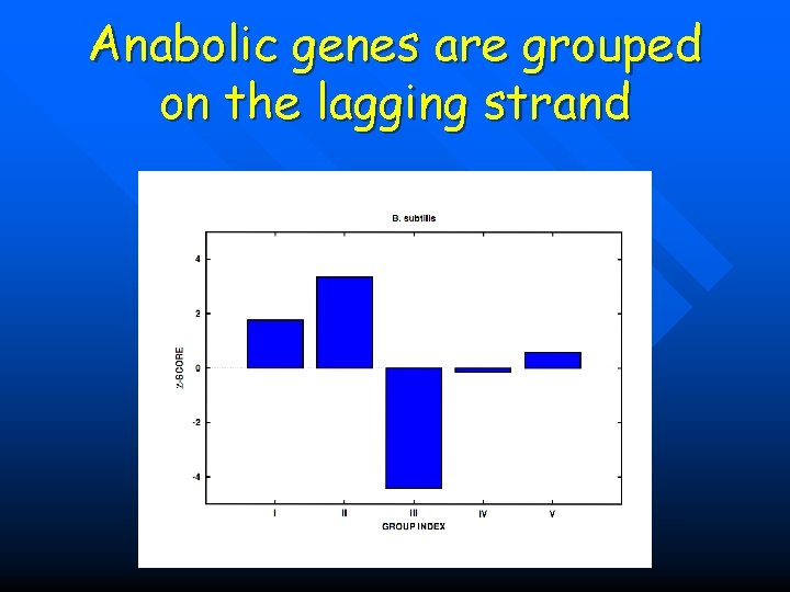 Anabolic genes are grouped on the lagging strand 
