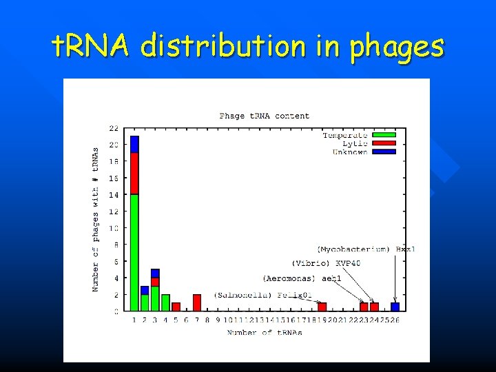 t. RNA distribution in phages 
