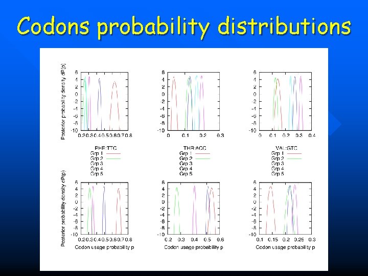 Codons probability distributions 