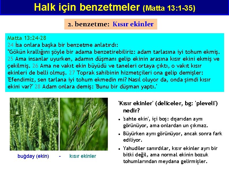 Halk için benzetmeler (Matta 13: 1 -35) 2. benzetme: Kısır ekinler Matta 13: 24