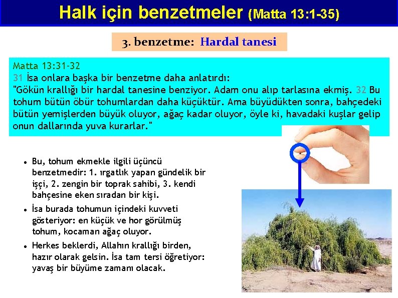 Halk için benzetmeler (Matta 13: 1 -35) 3. benzetme: Hardal tanesi Matta 13: 31