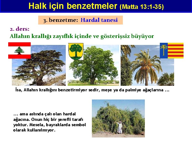 Halk için benzetmeler (Matta 13: 1 -35) 3. benzetme: Hardal tanesi 2. ders: Allahın