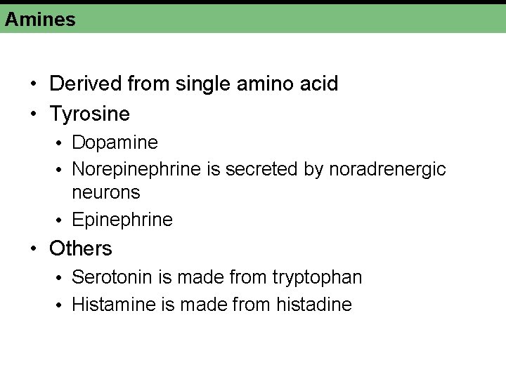Amines • Derived from single amino acid • Tyrosine • Dopamine • Norepinephrine is