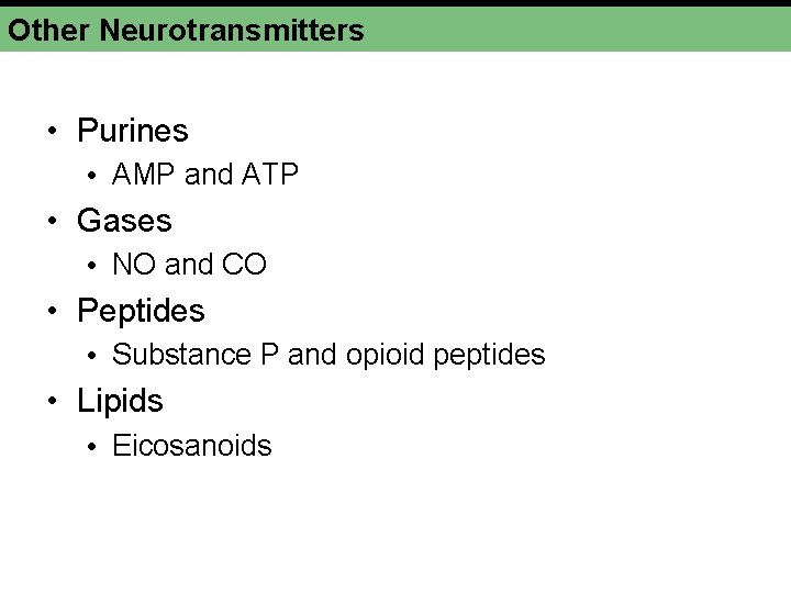 Other Neurotransmitters • Purines • AMP and ATP • Gases • NO and CO