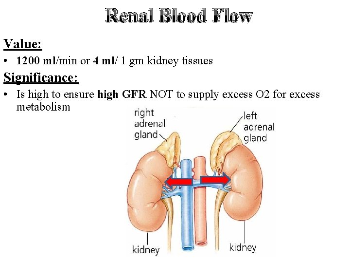 Renal Blood Flow Value: • 1200 ml/min or 4 ml/ 1 gm kidney tissues