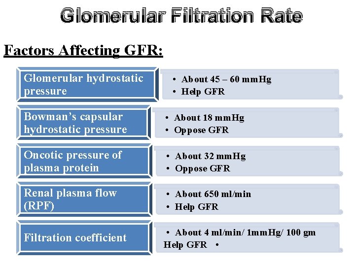 Glomerular Filtration Rate Factors Affecting GFR: Glomerular hydrostatic pressure • About 45 – 60