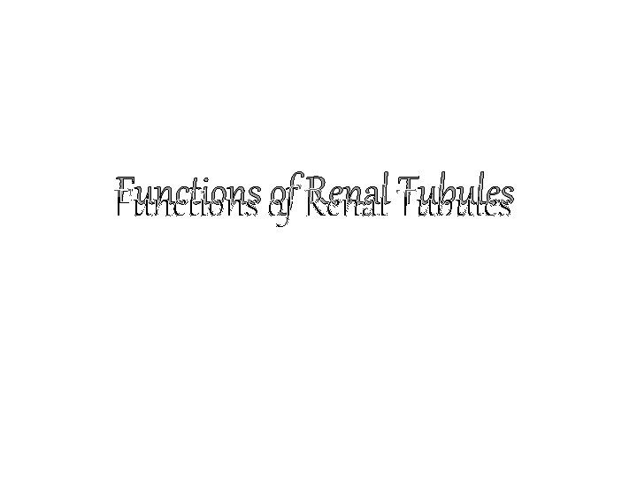 Functions of Renal Tubules 