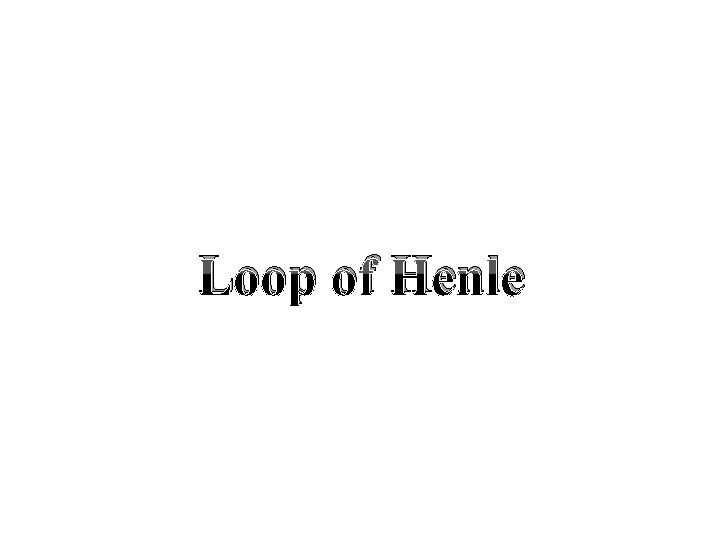 Loop of Henle 