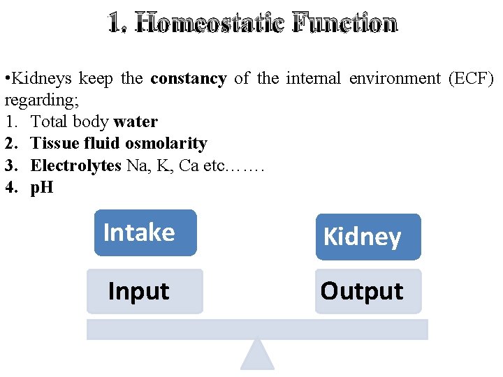 1. Homeostatic Function • Kidneys keep the constancy of the internal environment (ECF) regarding;