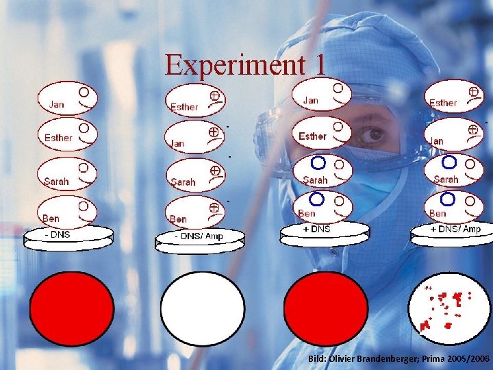 Resultate GFP Experimente/Idee Brandenberger; Prima 2005/2006 Resultate. Bild: Olivier. Kosten 