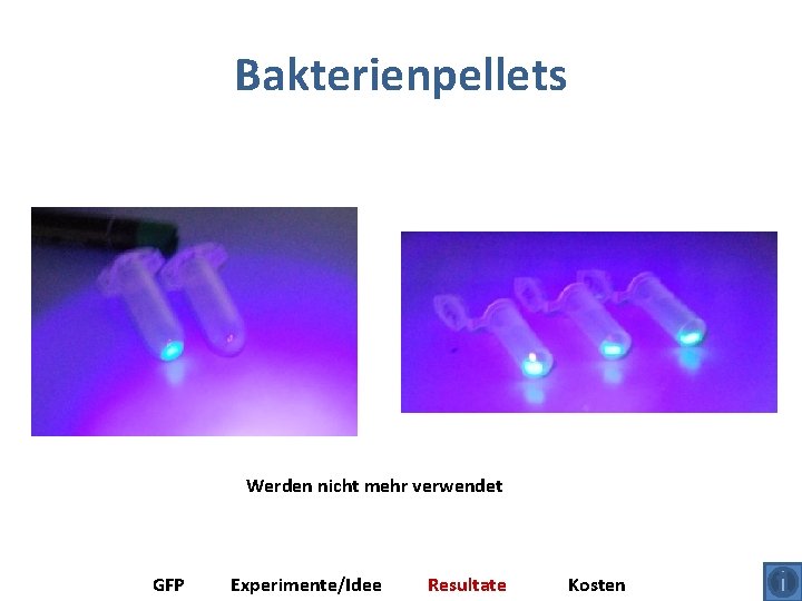 Bakterienpellets Werden nicht mehr verwendet GFP Experimente/Idee Resultate Kosten 