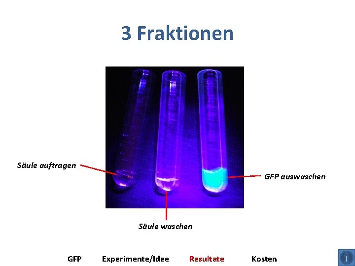 3 Fraktionen Säule auftragen GFP auswaschen Säule waschen GFP Experimente/Idee Resultate Kosten 