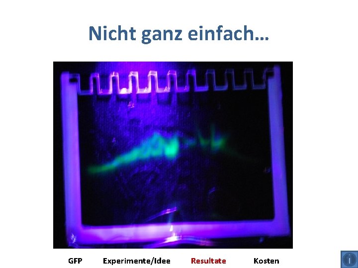 Nicht ganz einfach… GFP Experimente/Idee Resultate Kosten 