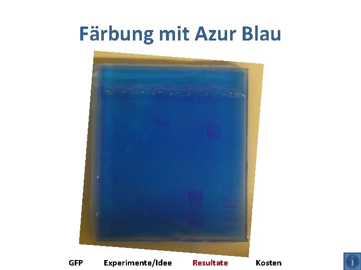 Färbung mit Azur Blau GFP Experimente/Idee Resultate Kosten 