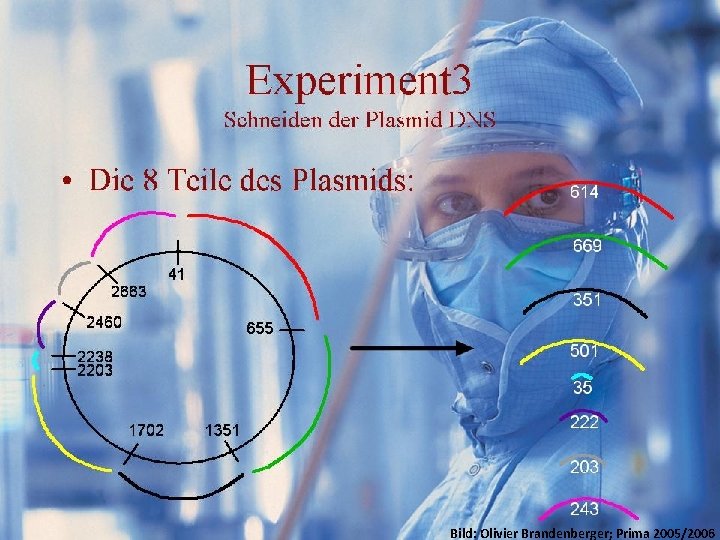 GFP Experimente/Idee Resultate. Bild: Olivier. Kosten Brandenberger; Prima 2005/2006 