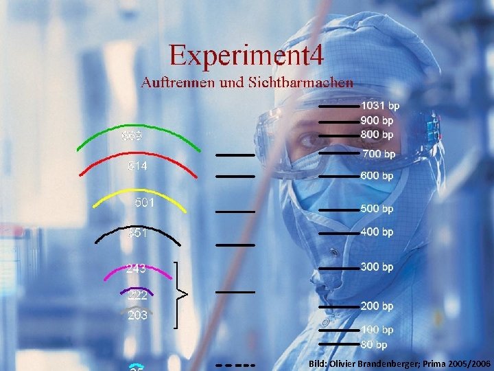 GFP Experimente/Idee Resultate. Bild: Olivier. Kosten Brandenberger; Prima 2005/2006 
