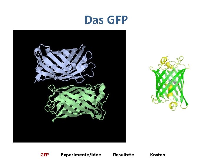 Das GFP Experimente/Idee Resultate Kosten 